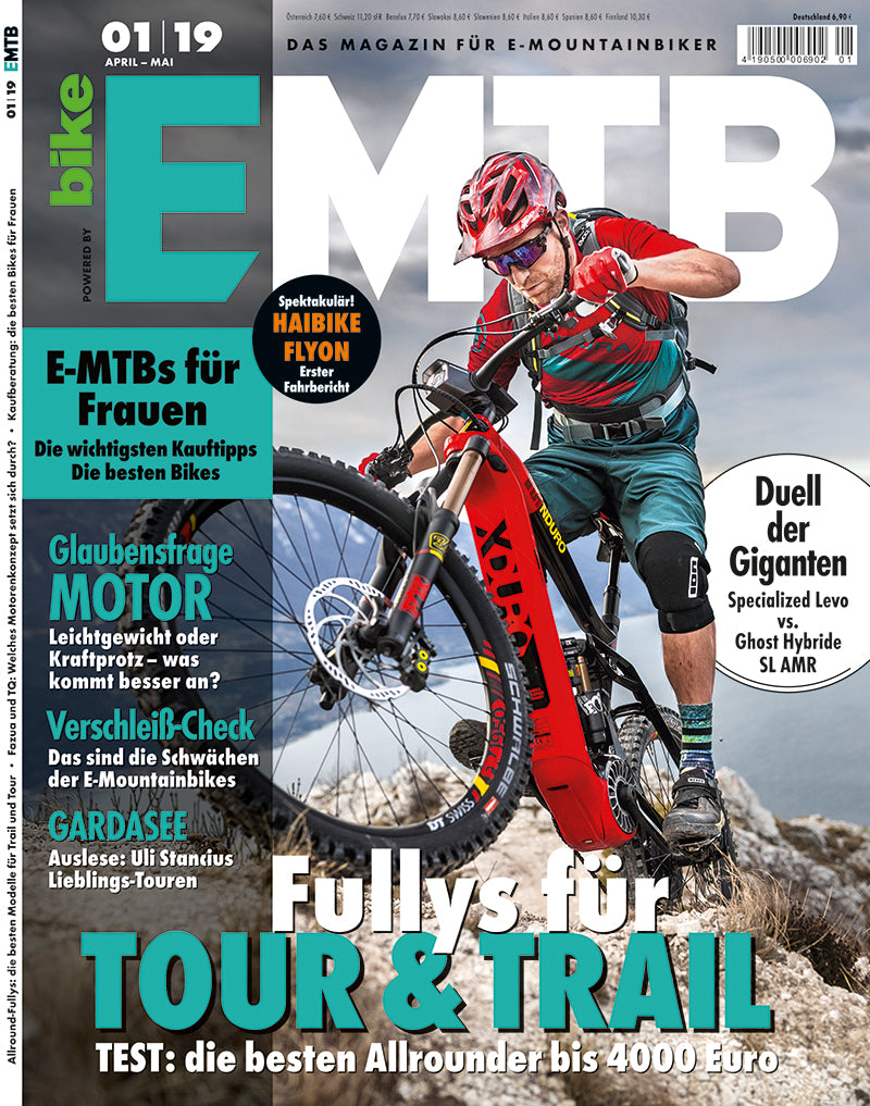 EMTB 01/2019