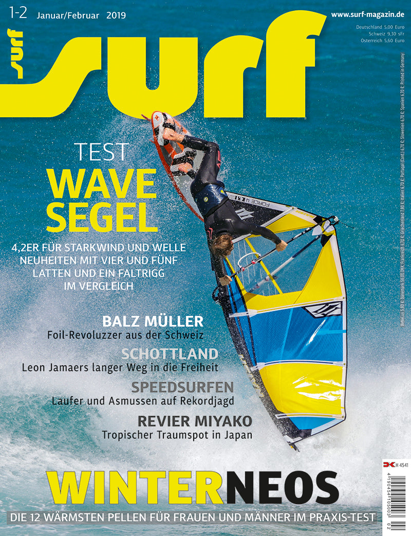 SURF 01-02/2019