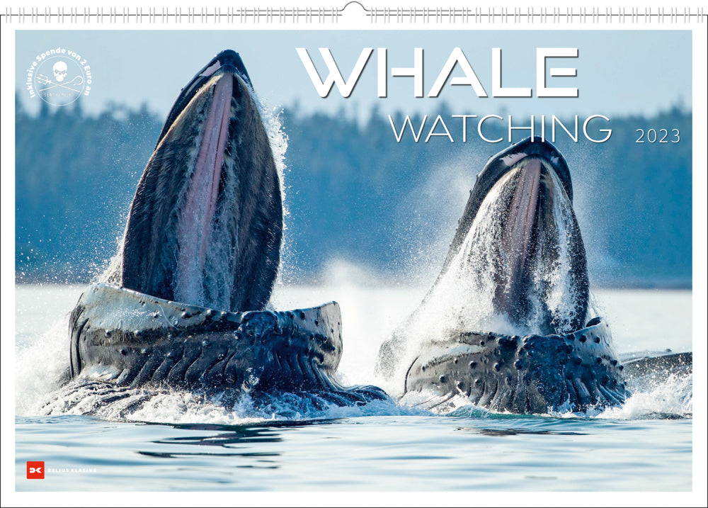 Whale Watching 2023