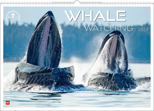 Whale Watching 2023