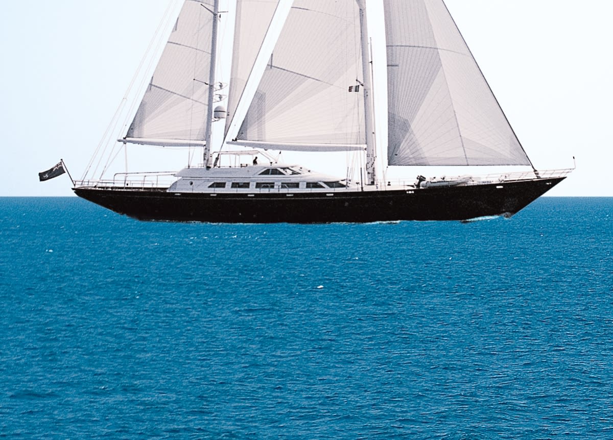 Tamarita ex. Piropo IV