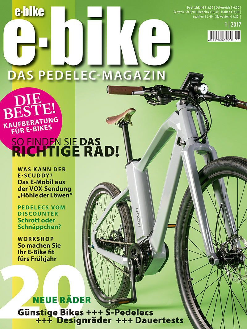 E-BIKE 01/2017